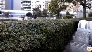 所有成人免弗视频- 高清在线观看